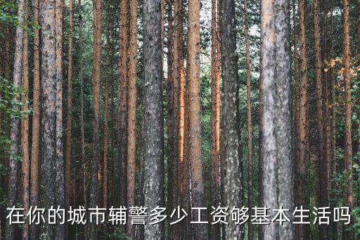 在你的城市輔警多少工資夠基本生活嗎