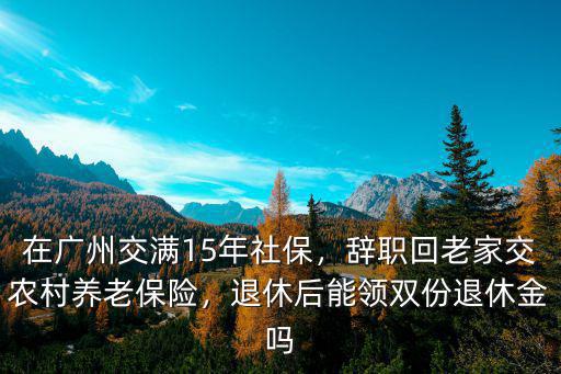老家和廣州都交了養老保險怎么辦,老家和單位都交了社保