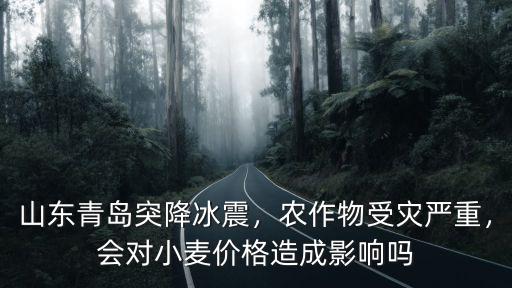 山東青島伍得利小麥價錢是多少,5月份小麥價格多少錢