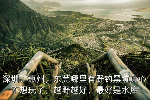 深圳，惠州，東莞哪里有野釣黑坑真心不想玩了，越野越好，最好是水庫