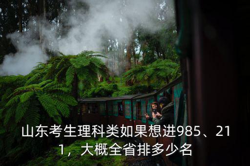 山東考生理科類如果想進985、211，大概全省排多少名
