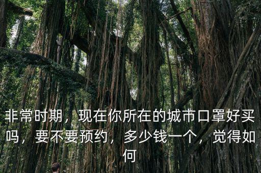 紹興預約口罩多少錢,你們的口罩都是多少錢買的