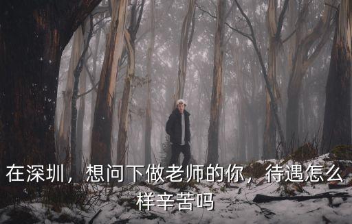 在深圳，想問下做老師的你，待遇怎么樣辛苦嗎
