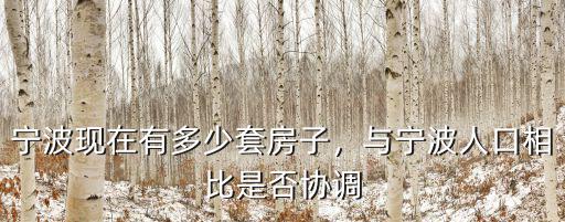 寧波現在有多少套房子，與寧波人口相比是否協調