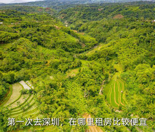 深圳哪里可以租到小區(qū)房租,第一次去深圳