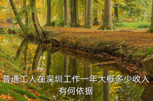 普通工人在深圳工作一年大概多少收入有何依據