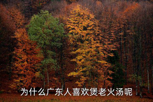 廣州老火靚湯在哪里,為什么廣東人喜歡煲老火湯呢