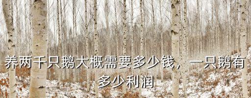 肇慶小鵝批發多少錢一只,養兩千只鵝大概需要多少錢