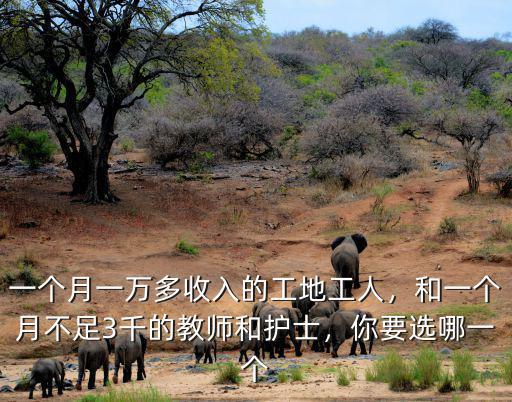 一個月一萬多收入的工地工人，和一個月不足3千的教師和護士，你要選哪一個