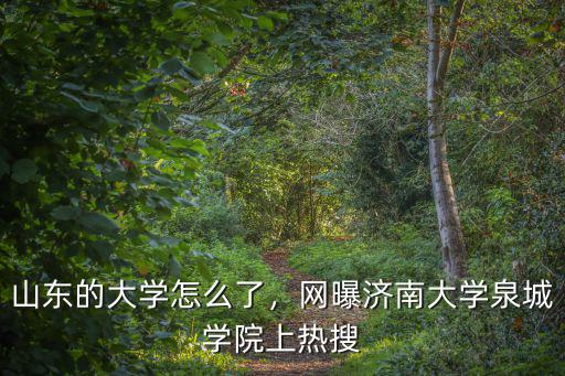 濟南泉城學院的學費每年是多少,網曝濟南大學泉城學院上熱搜