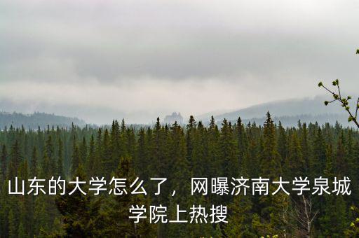 濟南大學泉城學院占地多少,網曝濟南大學泉城學院上熱搜