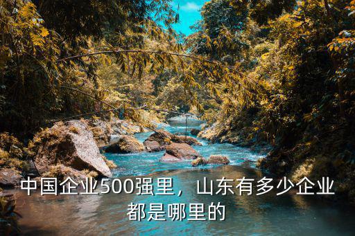 山東省有多少家省屬企業,中國企業500強里
