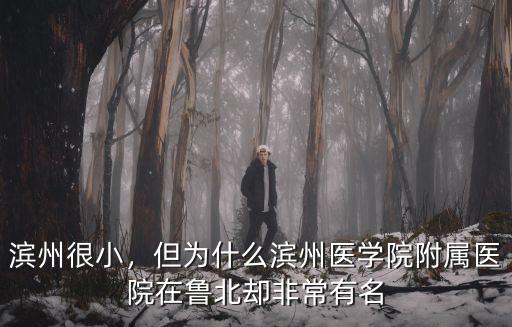 濱州醫(yī)學(xué)院附屬醫(yī)院規(guī)培工資多少,濱州醫(yī)學(xué)院怎么樣