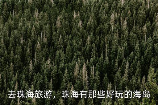 珠海海邊哪里可以野炊海釣,冬季珠海海邊適合露營嗎