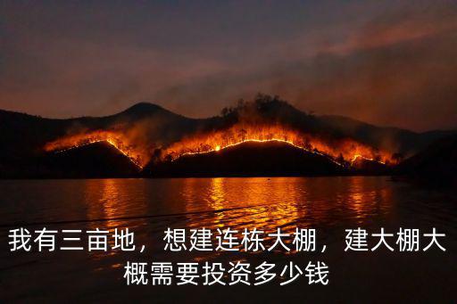 棗莊連棟玻璃溫室大棚多少錢,想建連棟大棚