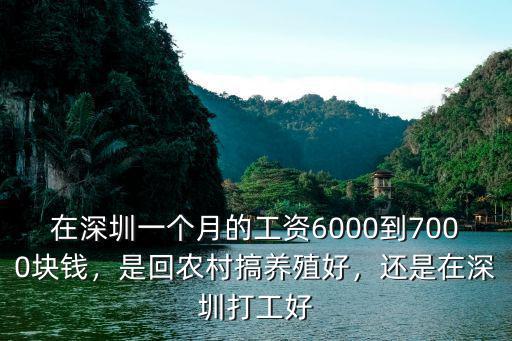 在深圳一個月的工資6000到7000塊錢，是回農(nóng)村搞養(yǎng)殖好，還是在深圳打工好