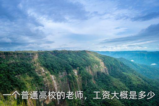 浙江的大學老師的工資多少錢一個月,一個普通高校的老師