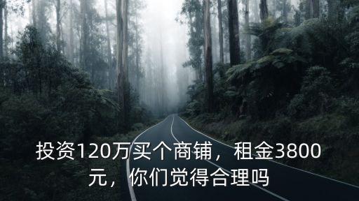 廣東商鋪投資多少錢,投資120萬買個商鋪