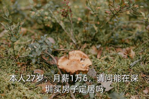 本人27歲，月薪1萬6，請問能在深圳買房子定居嗎