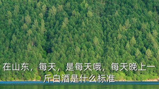 在山東，每天，是每天哦，每天晚上一斤白酒是什么標準