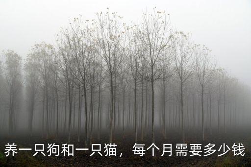 泰安市養狗多少錢一只,一只純種泰迪需要多少錢