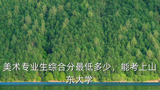 山東美術生多少分可以上本科,山東美術生聯考223分