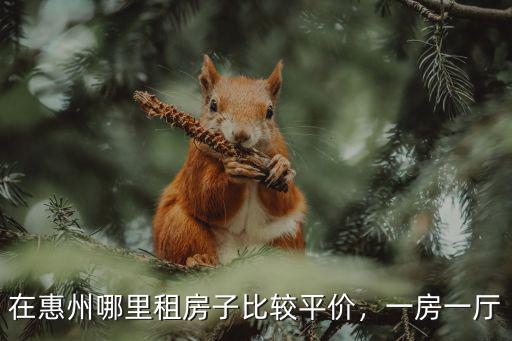 惠州哪里有租房子便宜,請問哪里的房子合適