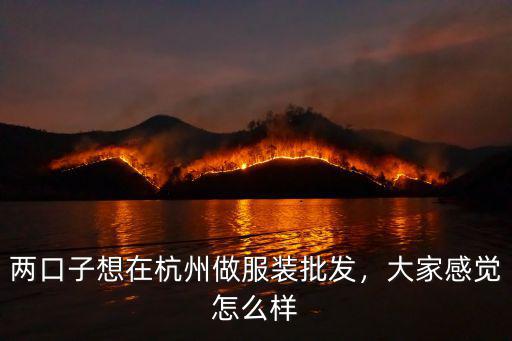 兩口子想在杭州做服裝批發(fā)，大家感覺怎么樣