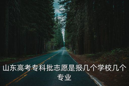 山東高考志愿能報多少專業,女兒今年高考