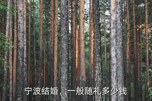 寧波結(jié)婚，一般隨禮多少錢