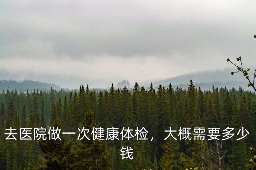 去醫院做一次健康體檢，大概需要多少錢