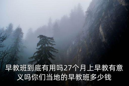泰安早教班多少錢,你們當地的早教班多少錢