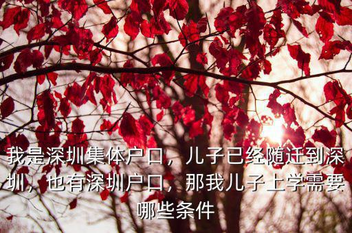 我是深圳集體戶口，兒子已經隨遷到深圳，也有深圳戶口，那我兒子上學需要哪些條件