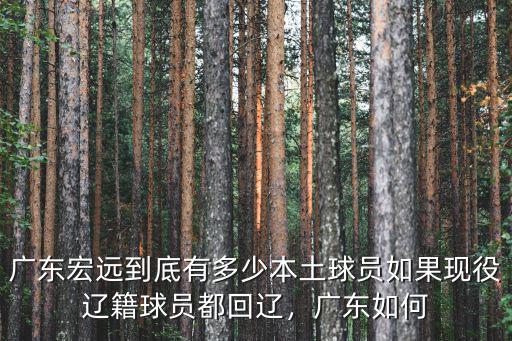 廣東宏遠多少個廣東人,廣東宏遠到底有多少本土球員