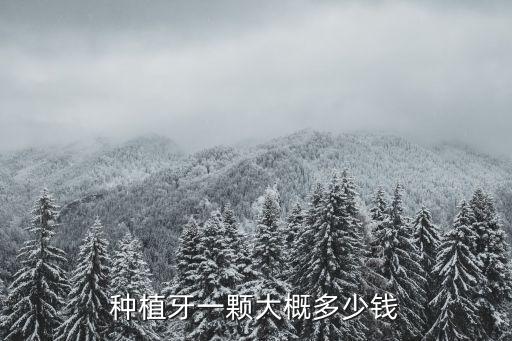 種植牙一顆大概多少錢
