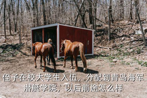 2017青島潛艇學院新兵有多少人,青島潛艇學院