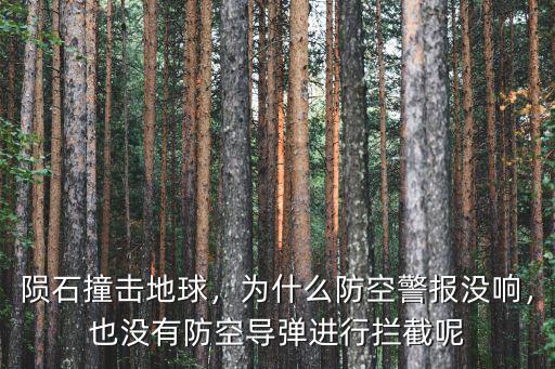 隕石撞擊地球，為什么防空警報沒響，也沒有防空導彈進行攔截呢