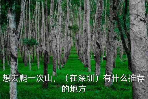 深圳爬山哪里好玩的地方嗎,深圳龍崗有什么地方好玩的呢