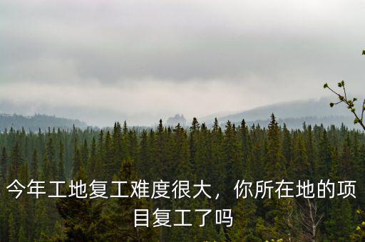 今年工地復(fù)工難度很大，你所在地的項(xiàng)目復(fù)工了嗎