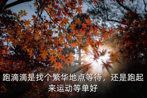 惠州哪里跑滴滴好接單,在惠州跑滴滴收入怎么樣