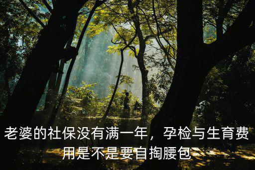 老婆深圳社保未滿一年怎么辦,那么子女可以來深圳上學嗎