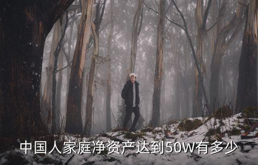 中國人家庭凈資產達到50W有多少