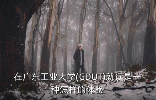 杜鋒是怎么樣進入廣東工業大學,廣東工業大學怎么樣