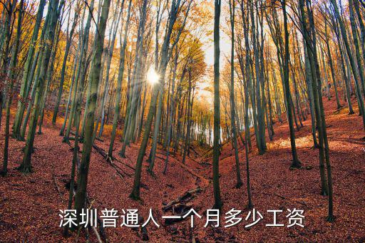 深圳普通人一個月多少工資