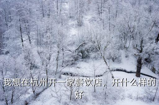 在杭州開餐飲店要多少錢,我想在杭州開一家餐飲店