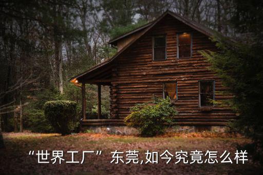 廣東工廠效益怎么樣,世界工廠東莞