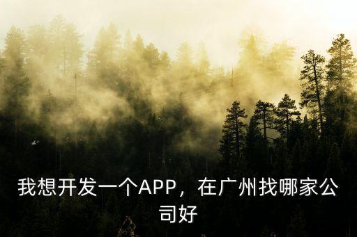 廣州軟件公司在哪里開,開一家軟件開發公司