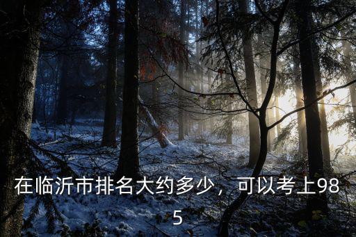 在臨沂市排名大約多少，可以考上985