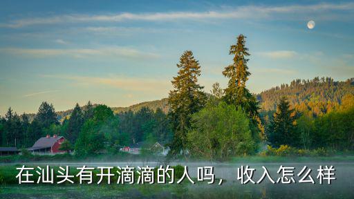 汕頭安德魯怎么樣,廣東汕頭怎么樣