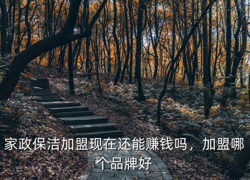 珠海家政品牌加盟要多少錢,家政保潔加盟現在還能賺錢嗎